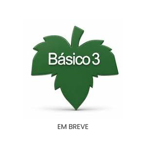 Básico 3